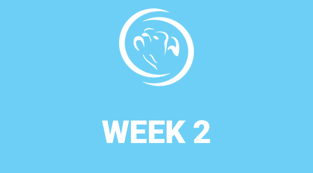 online-training-8-week-course-week-2